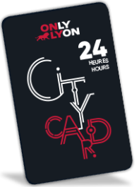 Lyon City Card 24 ore: Adulto